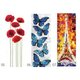 RADOX Nova Glass